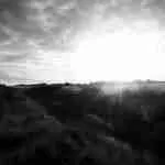 Nesciunt quis perspiciatis omnis vel id